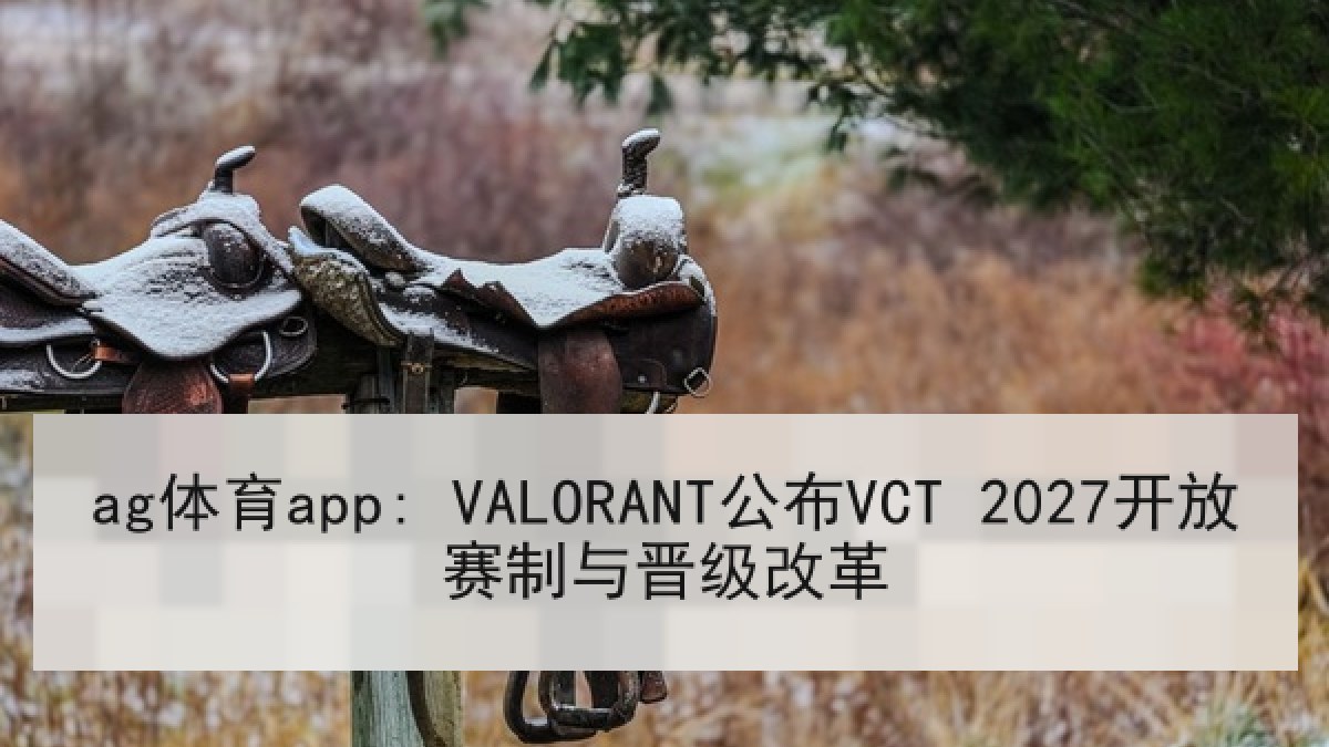 ag体育app: VALORANT公布VCT 2027开放赛制与晋级改革 ag体育app: VALORANT公布VCT 2027开放赛制与晋级改革