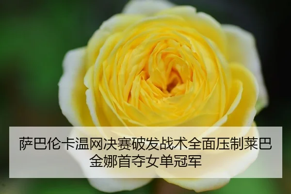 sa-ba-lun-ka-wen-wang-jue-sai-po-fa-zhan-shu-quan-mian-ya-zhi-lai-ba-jin-na-shou-duo-nv-dan-guan-jun-3-699.jpg