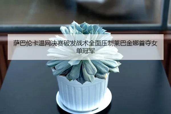 萨巴伦卡温网决赛破发战术全面压制莱巴金娜首夺女单冠军