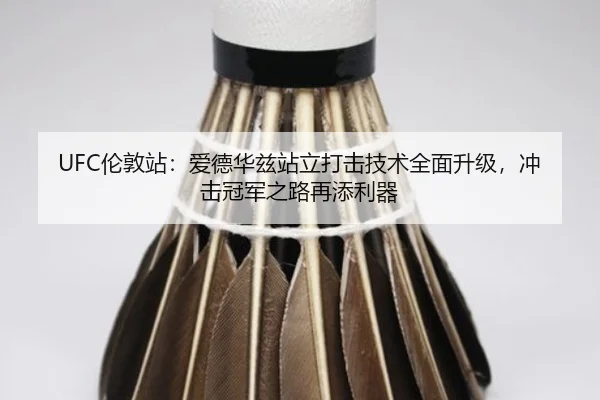 UFC伦敦站：爱德华兹站立打击技术全面升级，冲击冠军之路再添利器